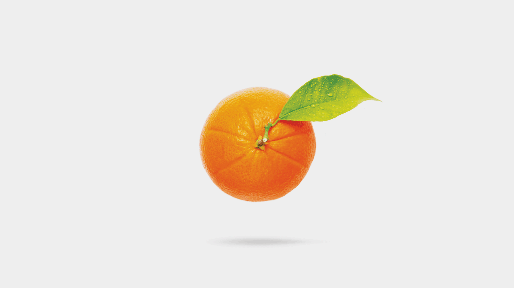 ORANGE 2 FLY