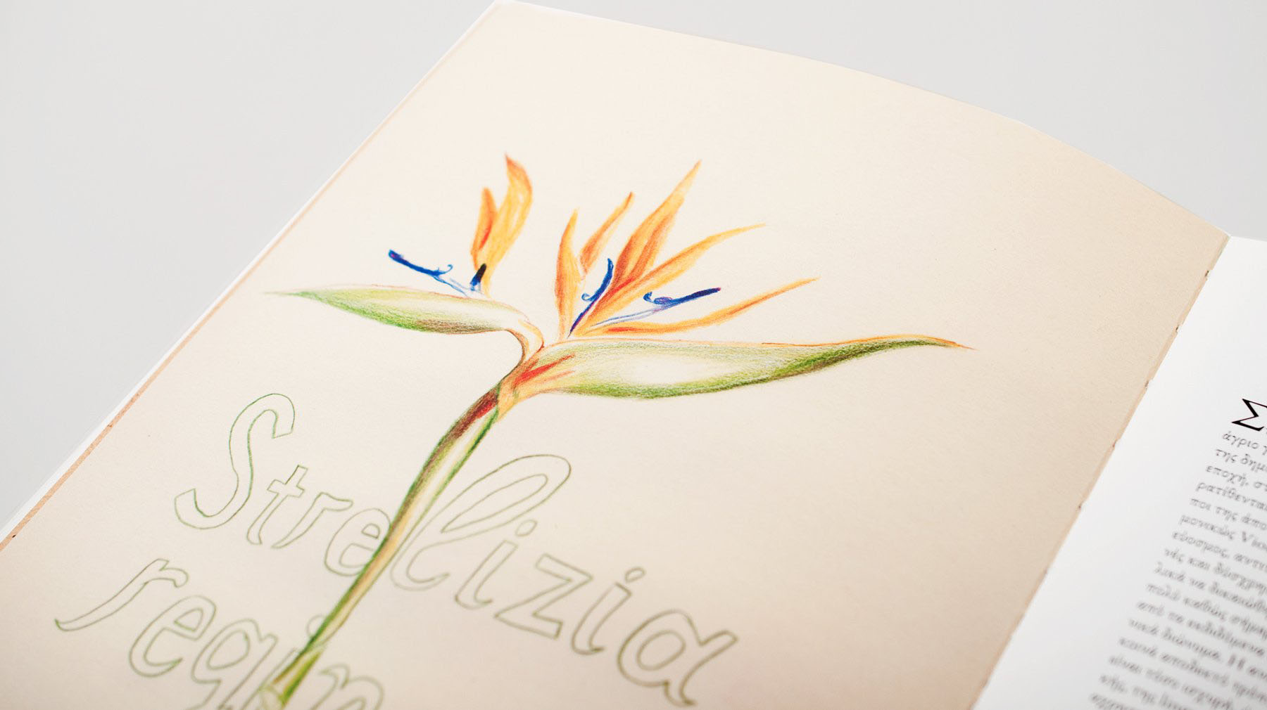 POTAMOS PUBLICATIONS