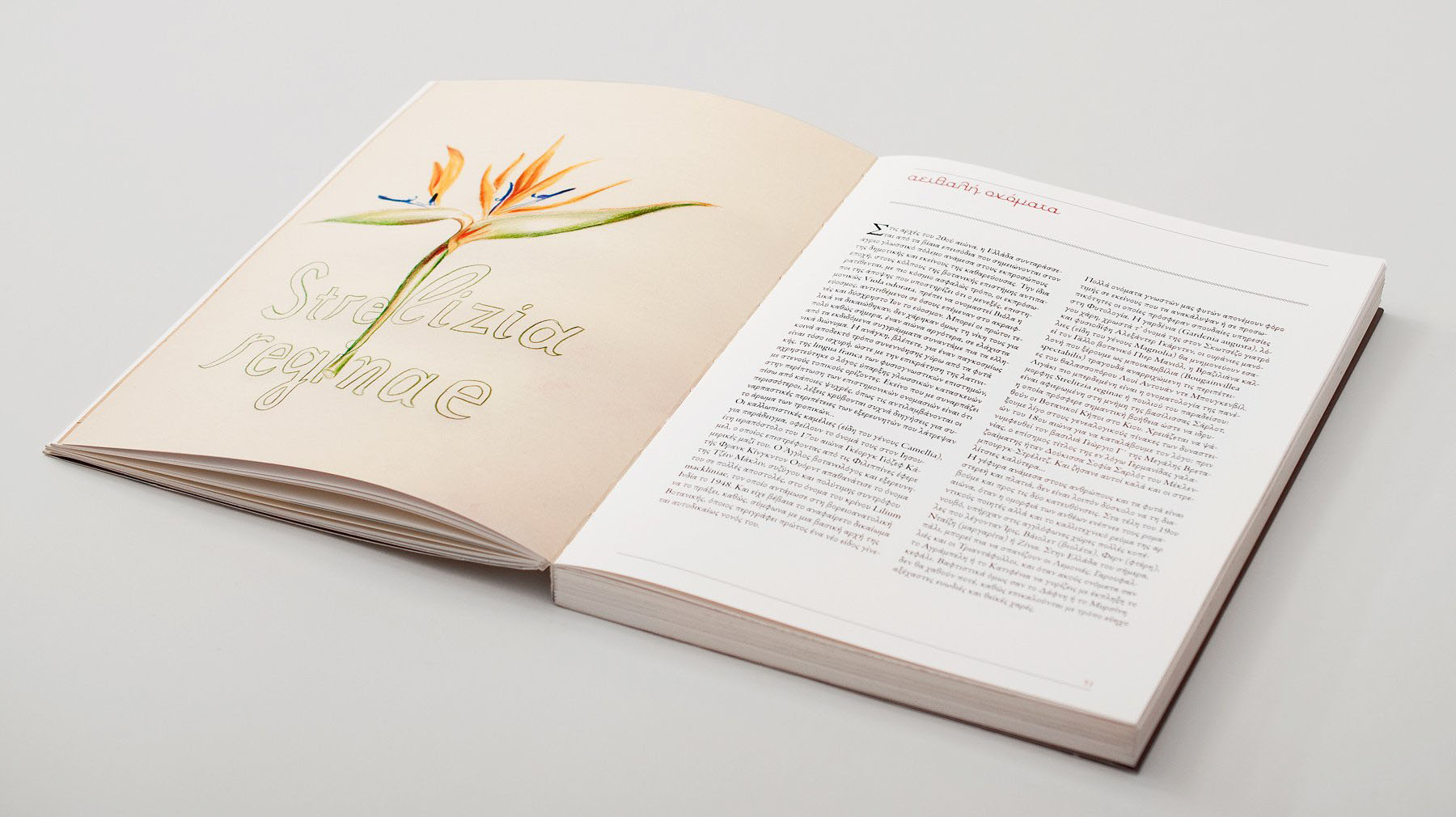 POTAMOS PUBLICATIONS